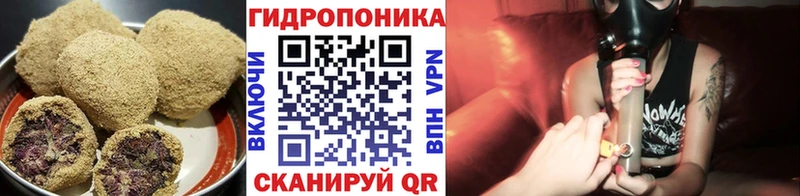 kraken рабочий сайт  где купить наркоту  Гвардейск  Печенье с ТГК марихуана 
