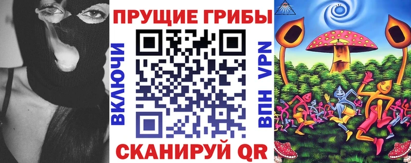 Псилоцибиновые грибы GOLDEN TEACHER  где продают наркотики  Гвардейск 